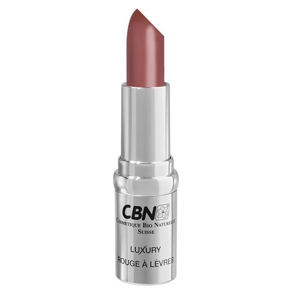CBN LUXURY ROUGE A LEVRES 01